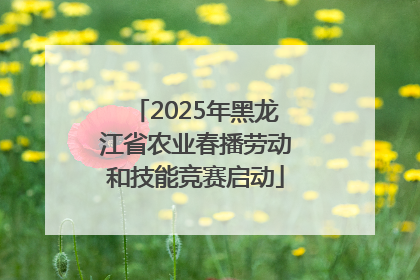 2025年黑龙江省农业春播劳动和技能竞赛启动